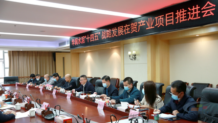 華潤(rùn)水泥“十四五”戰(zhàn)略發(fā)展在賀產(chǎn)業(yè)項(xiàng)目推進(jìn)會(huì)圓滿舉行，賀州政企合力共繪發(fā)展藍(lán)圖